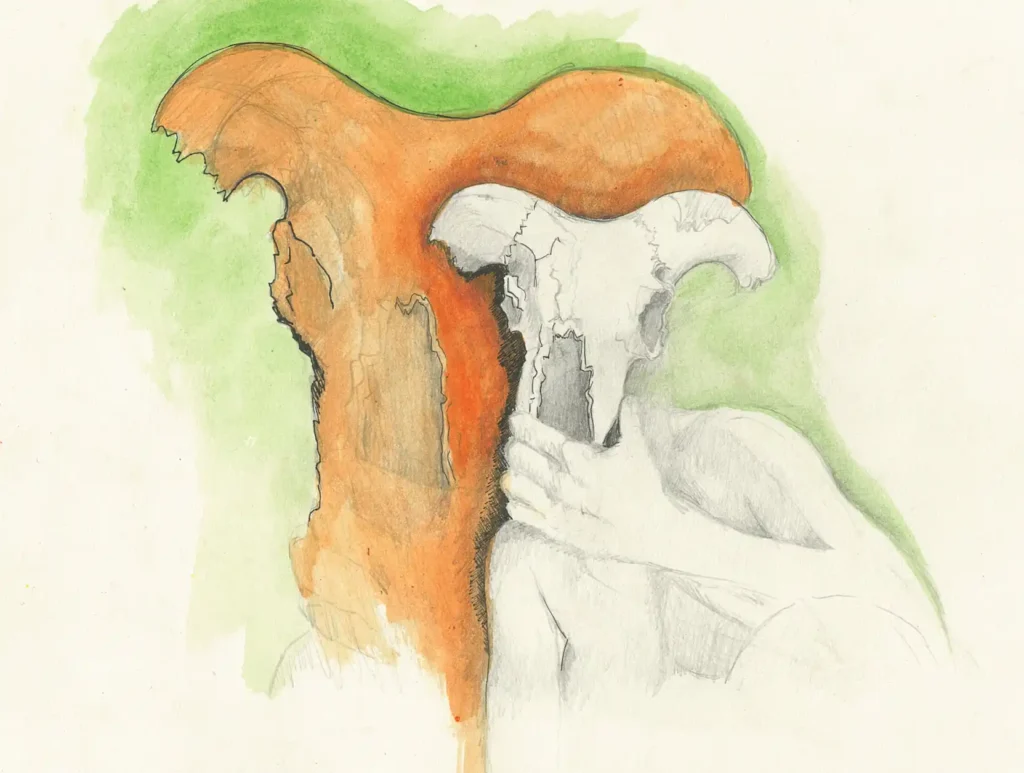 oscuridad de luna nueva